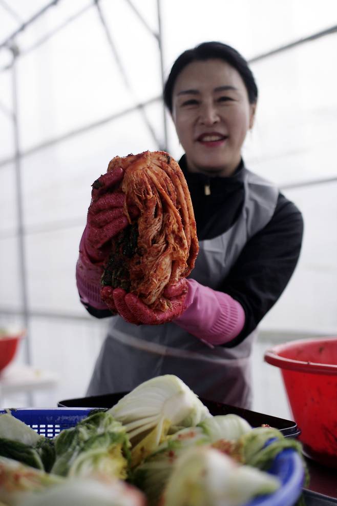 청주에서 온 박선아씨가 직접 담근 김치를 들어보이고 있다. 박씨는 40kg 김장을 뚝딱 해치우곤 "큰 숙제인 김장을 1시간 만에 해결했다"며 즐거워했다. / 박근희 여행기자