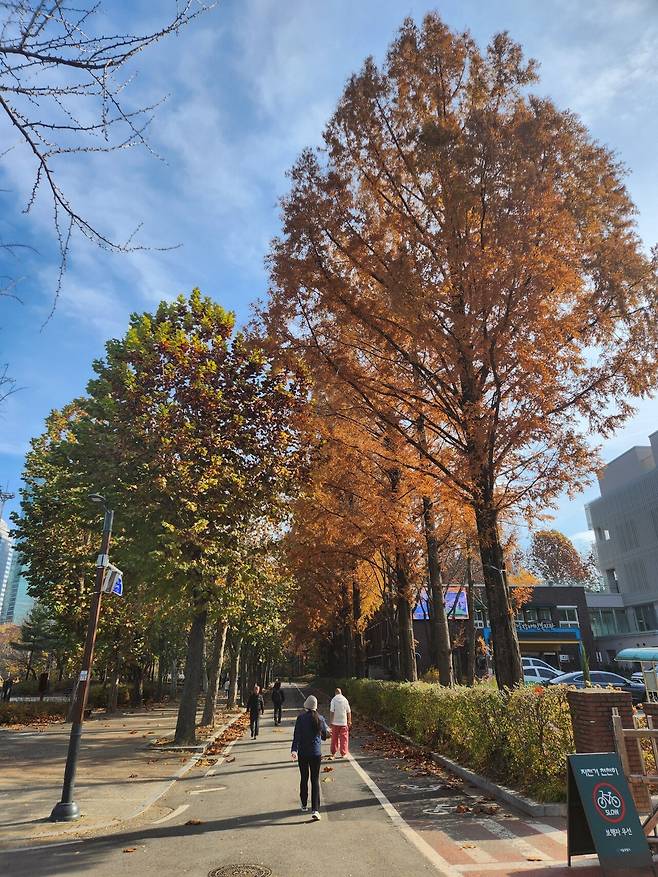 20241125_114501.jpg 늦가을 보라매공원 사진 보고 가라