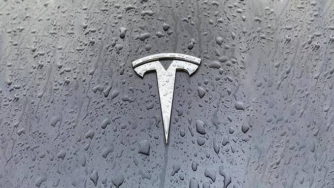 테슬라 [자료사진]