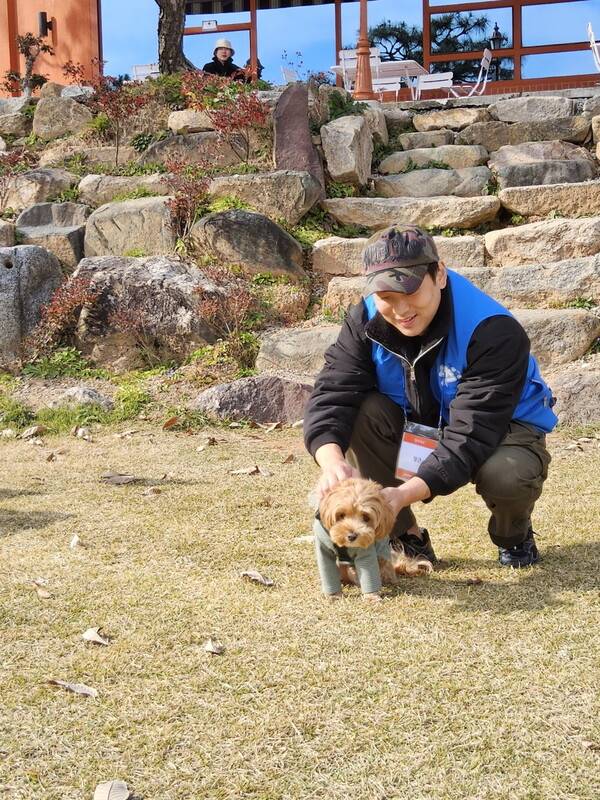 펫가이더가 강아지를 돌봐주는 모습