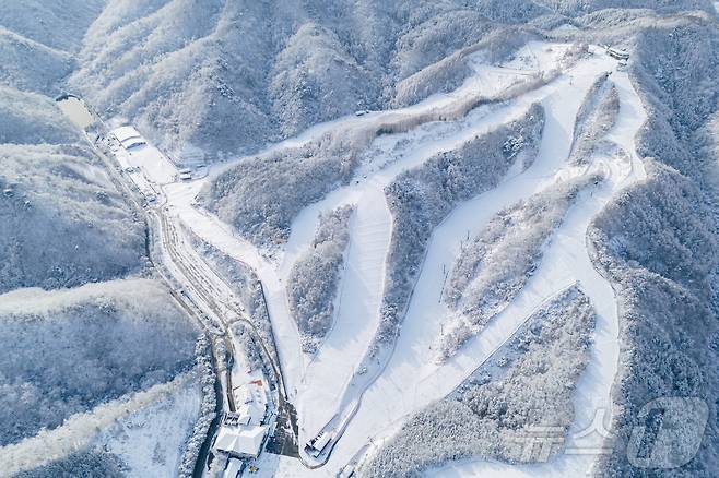 27일 강원 춘천시 남산면 소재 엘리시안강촌 스키장에 첫 눈이 내리면서 눈 꽃이 장관을 이루고 있다.(엘리시안 강촌 제공) 2024.11.27/뉴스1 ⓒ News1 이종재 기자