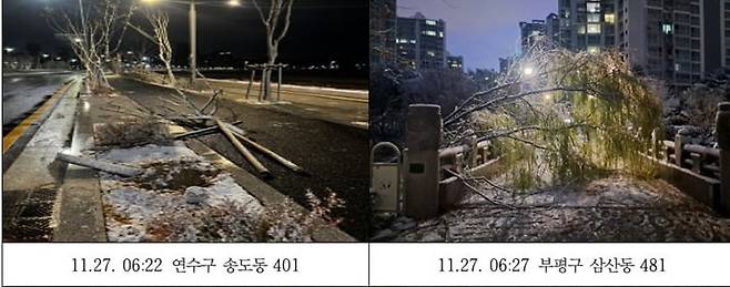 인천시내에서 폭설과 강풍으로 쓰러진 가로수. 인천소방본부