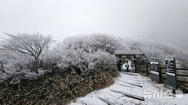 [제주=뉴시스] 27일 오전 7시께 한라산국립공원 관음사탐방로 해발 1500m 삼각봉대피소에는 상고대(서리꽃)와 함께 탐방로에 눈이 쌓였다. 삼각봉대피소 통제소 주변 경관인 삼각봉은 안개가 덮여서 보이지 않았다. 이날 산지에 대설특보가 내려짐에 따라 한라산국립공원 7개 탐방로는 전면 통제된 가운데 통제조치 직전인 오전 5시에 출발한 한 탐방객이 삼각봉대피소까지 갔다가 돌아오면서 경관을 찍었다. (사진=독자 제공) 2024.11.27. photo@newsis.com