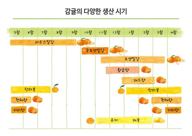감귤 생산시기. 농촌진흥청
