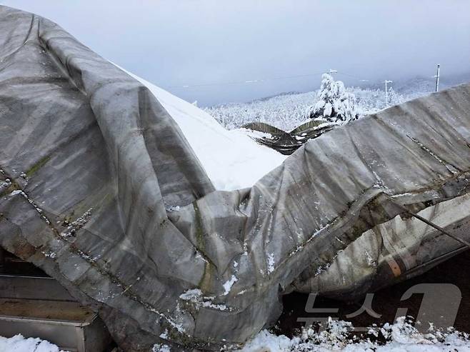 강원 횡성 서원면 창촌리 사고 현장.(횡성소방서 제공)