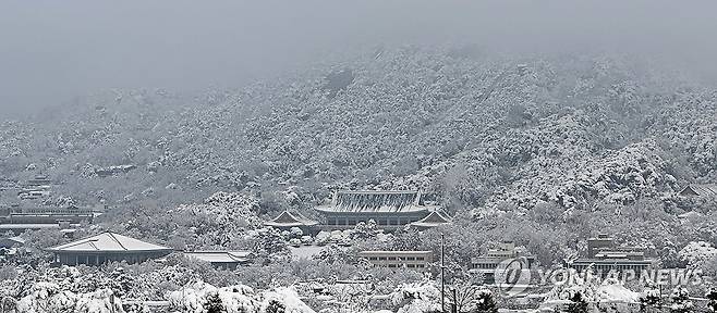 이틀째 눈이불 덮은 북악산 (서울=연합뉴스) 임헌정 기자 = 이틀째 눈이 계속된 28일 서울 종로구 청와대 뒷산 북악산에 눈이 쌓여 있다. 2024.11.28 kane@yna.co.kr