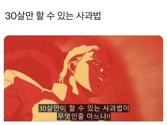 서리2.jpg 30살만 할 수 있는 사과법.jpg