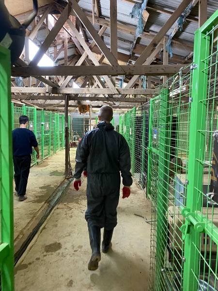 아크 보호소에 봉사하러 캐나다에서 온 케먼. 개농장이었던 자리에서, 다 죽을뻔했던 개들이 이리 보호 받고 있다./사진=남형도 기자