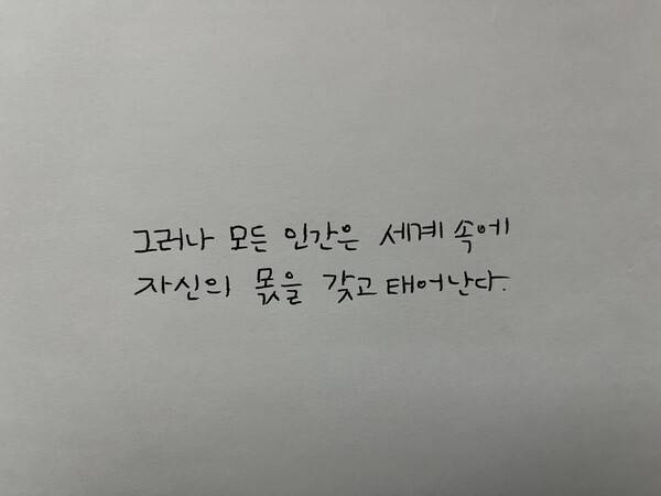 최진영 작가의 필사