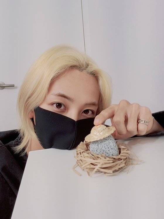 아이돌 그룹 세븐틴 멤버 정한의 ‘반려돌’. [사진 세븐틴 정한 위버스]