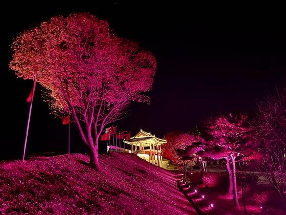 충남 홍성군 홍성읍 홍주읍성은 길이 약 1772m의 성벽 중 약 800m의 돌로 쌓은 성벽의 일부분이 남아있다. 처음 지어진 연대는 확실히 알 수 없다. 동문인 조양문(朝陽門)과 외삼문(外三門)인 홍주아문(洪州衙門), 동헌(東軒)인 안회당(安懷堂), 여하정(余何亭) 등의 건물이 남아있다. 사진에 보이는 남문 홍화문(洪化門)은 2013년 복원한 뒤 지난해(2023년)부터 11월부터 시작한 보수공사를 마치고 올해(2024년) 7월 재개방했다. 김홍준 기자