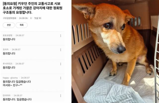 구슬이 사연에 책임 분담금을 제공한 회원은 90인. 최소 정족수인 50명을 넘기면서 구슬이의 구조가 결정됐다. 팅커벨프로젝트 제공