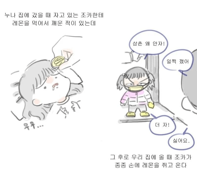 image.png 조카 레몬으로 깨우기 (+후일담)