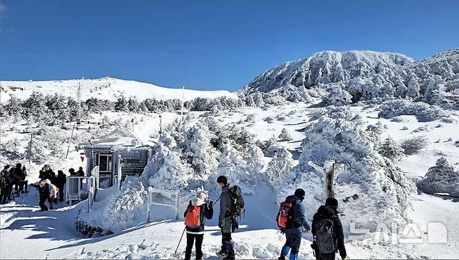 [제주=뉴시스] 임재영 기자 = 한라산이 설국으로 변해 탐방객들에게 눈꽃, 서리꽃의 장관을 선사했다. 잿빛이던 백록담 분화구는 순백으로 변했고, 주변 구상나무 군락은 눈꽃으로 장관을 이뤘다. 2024.12.01. ijy788@newsis.com