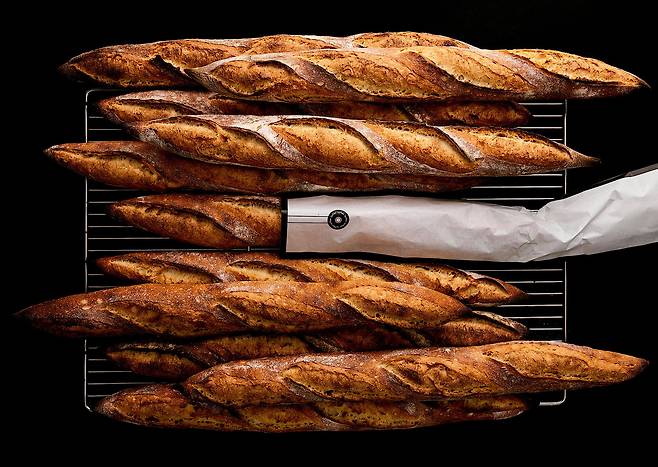 제대로 구운 바게트는 짙은 황갈색이면서 폭이 일정하며 쿠프(칼집)가 잘 벌어져 있다. /르빵