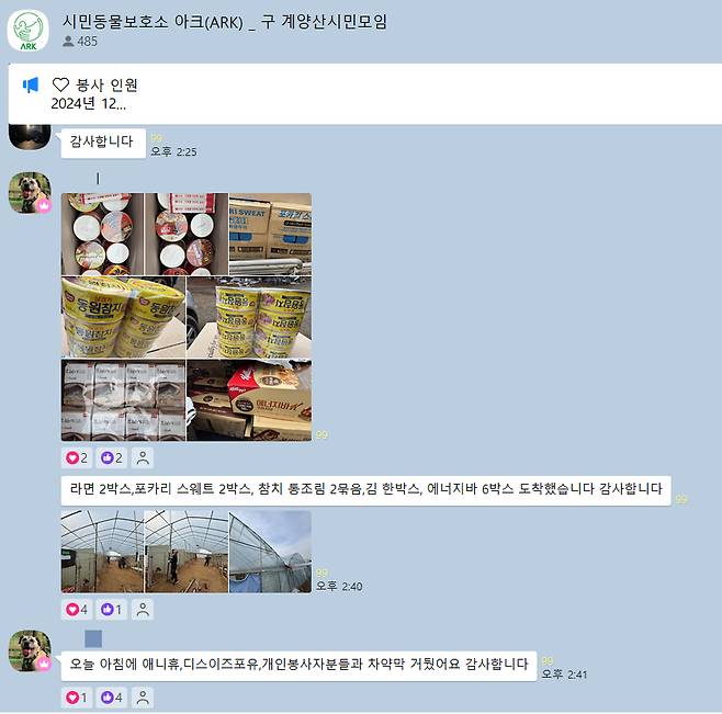 개농장 개들을 살리기 위해, 시민 486명이 자발적으로 만들고 운영하는 아크 보호소 단톡방 모임. 24시간이 무색하게 어떻게 먹일지, 치료할지, 따뜻하고 시원하게 해줄지, 다양한 대화가 오간다./사진=아크 보호소(@ark_animalrightskorea)