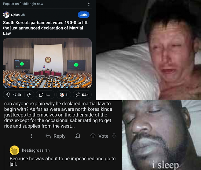 10.PNG 한국 계엄령 관련 레딧 밈, 짤 모음