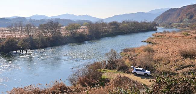 남한강을 따라가는 폐사지 여행에서 초겨울의 강변 풍경은 훌륭한 부록이다. 충북 충주 청룡사지에서 나오는 길에서 만난 물억새 만발한 여우섬 일대의 모습.