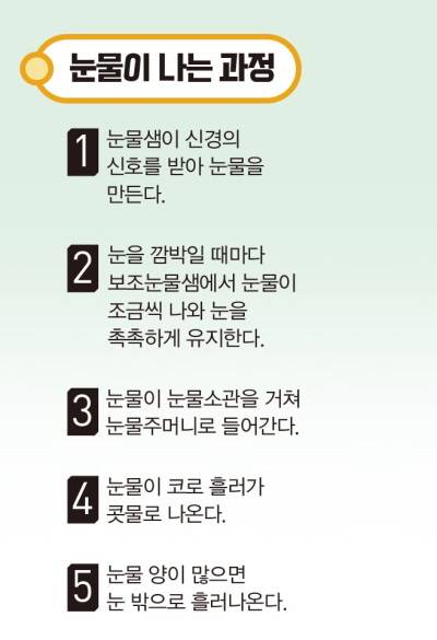 눈물이 나는 과정. 어린이과학동아 제공
