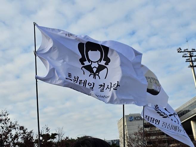 일부 집회 참가자는 게임·만화나 인터넷 ‘밈’ 등을 담은 깃발을 들고 집회를 찾았다. 윤솔 기자