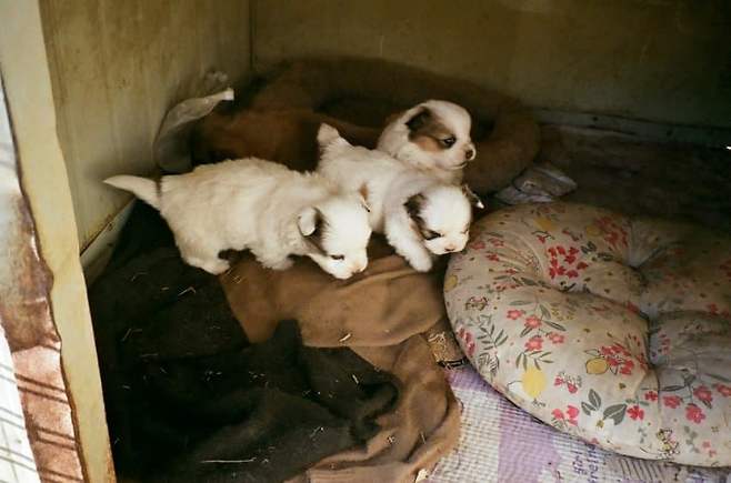 3fb8c32fffd711ab6fb8d38a4380736e5c7319c39027d6b49466fe1942b9475883a14c0c42da6cfdfa6fdb1791