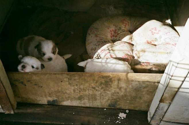 3fb8c32fffd711ab6fb8d38a4080736ec2a51570c02a03c307dc6c74423e8dbf03c29040957f7b803289dc2071