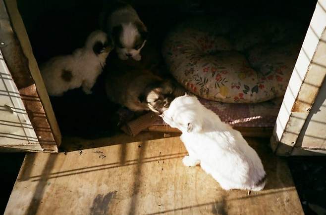 3fb8c32fffd711ab6fb8d38a4780736ee4964150bbc0976b23e2984c66e980b21114a6ca2b597a1542d43004ae