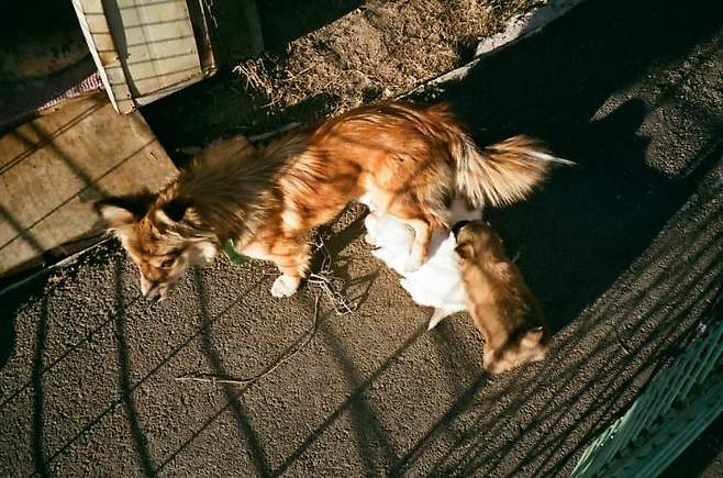 3fb8c32fffd711ab6fb8d38a4680736ecbe87d748008e675ed9cc417835f44486172c7692ac85ee3e191b3fb67