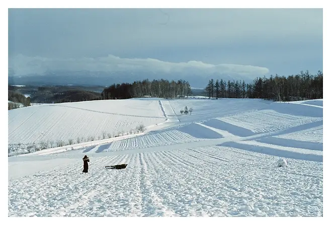 0490f719b5866ff720a8d3b706f11a39c64b413ee2cce546d30e