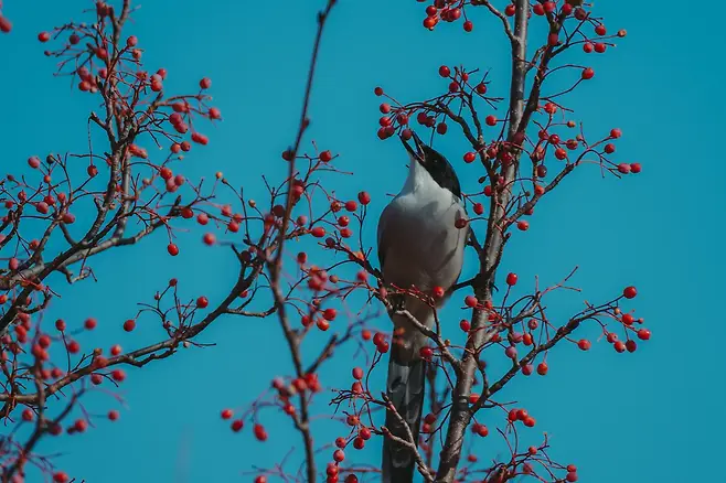 098ef319b7856df420a8d3b706f11a397ed30122cb2710e0da