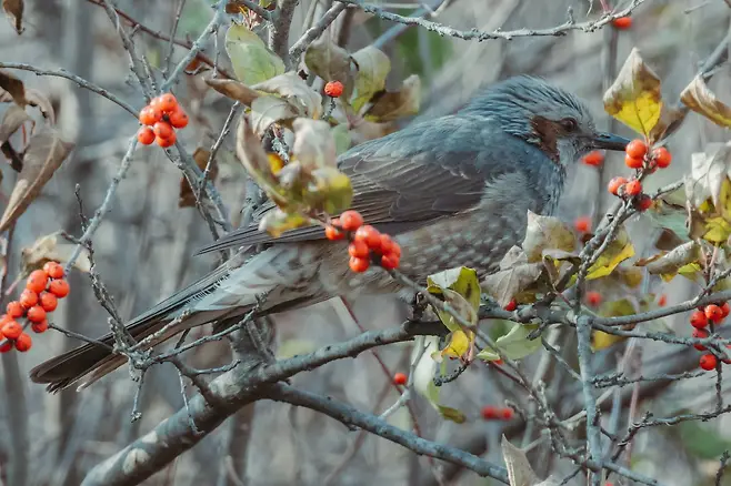 098ef319b6826ef020a8d3b706f11a397e8bc861948102ee8bdd