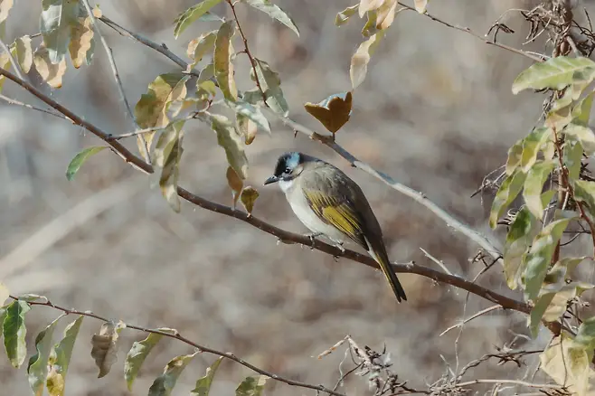 098ef319b6826ff220a8d3b706f11a39f3c857a6f0dfa75483