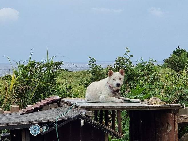 마라도경당의 지킴이 개