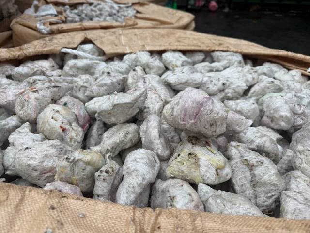 ▲ 2 딱딱한 고체가 된 스티로폼. 자동차 범퍼 등으로 쓰일 수 있다.