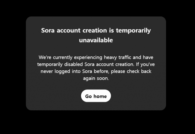 오픈AI가 '소라'를 정식 출시했지만 이용자들이 몰리면서 접속이 안되고 있다. (사진=소라닷컴 캡처)