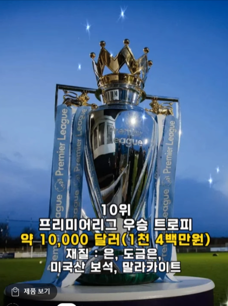 10위 프리미어리그 우승.png 전세계에서 가장비싼 축구트로피 순위