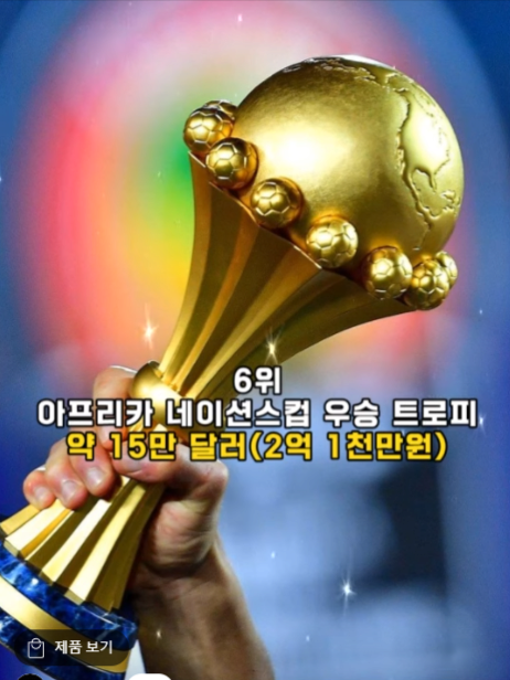 6위.png 전세계에서 가장비싼 축구트로피 순위