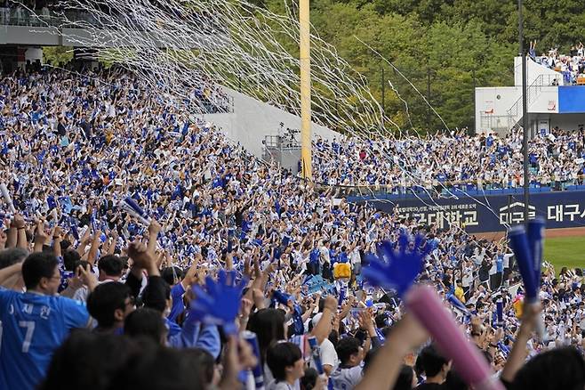 삼성 팬들이 13일 대구삼성라이온즈파크에서 열린 2024 KBO 플레이오프 1차전 LG와 경기에서 삼성을 응원하고 있다. 사진 | 삼성 라이온즈