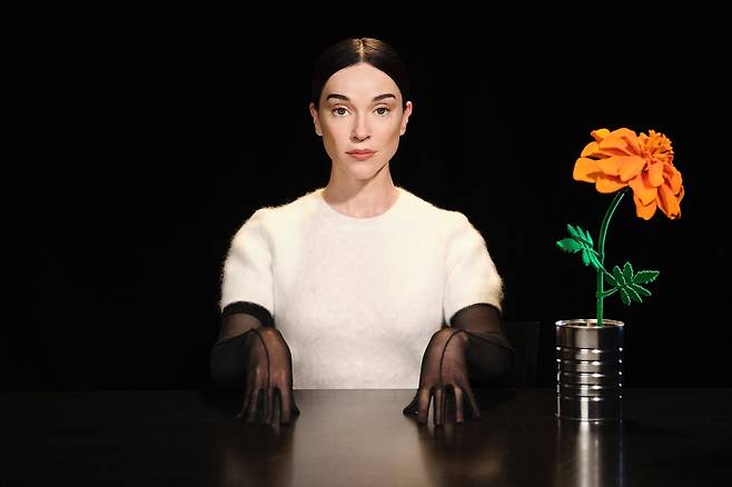 세인트 빈센트 [하이징크스 제공. 재판매 및 DB 금지]