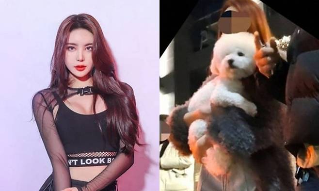지난 2월3일 새벽 서울 강남구 논현동에서 음주운전 사망 사고를 낸 DJ예송이 사고 직후 강아지를 끌어안고 있는 모습. 사회관계망서비스(SNS) 갈무리