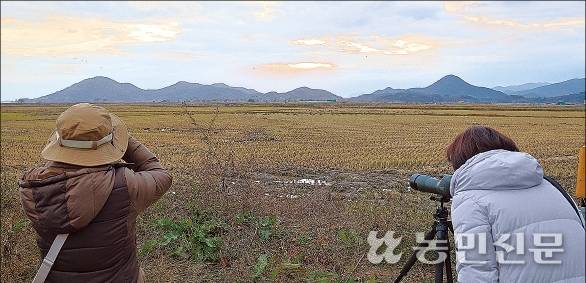 탐조여행에 참여한 참가자들이 먹이활동에 여념이 없는 철새를 관찰하고 있다.