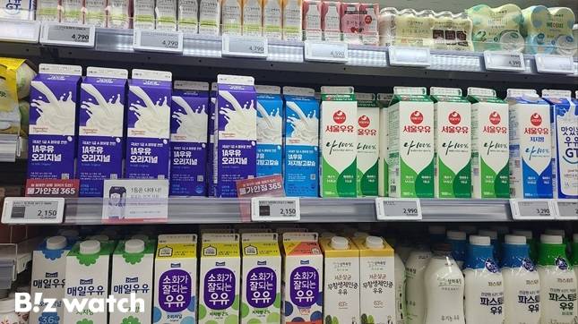 사진=김지우 기자 zuzu@