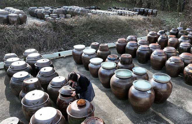 14일 전통 장이 가득 담긴 장독대의 행렬 속에 농원의 대표가 자신이 직접 담근 된장을 그릇에 담고 있다.  /신현종 기자