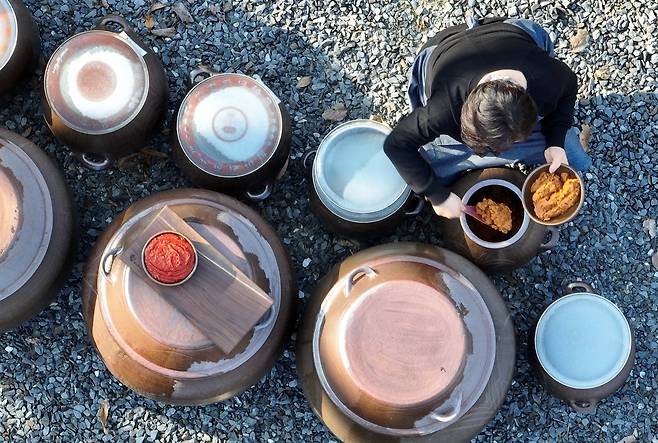 14일 전통 장이 가득 담긴 장독대의 행렬 속에 농원의 대표가 자신이 직접 담근 된장을 그릇에 담고 있다.  /신현종 기자