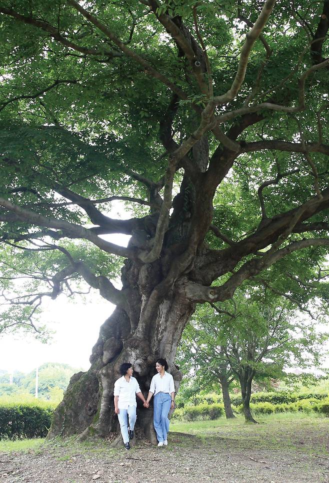 사진 = 스타북스