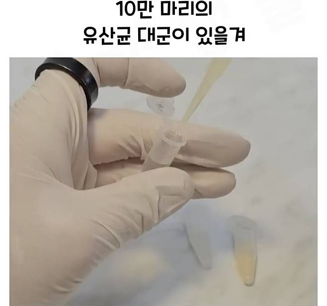 Screenshot_20241218_183015_Video Player.jpg 요구르트 유산균 수를 세는 방법.jpg