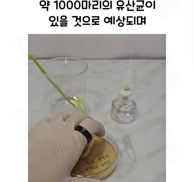 Screenshot_20241218_183034_Video Player.jpg 요구르트 유산균 수를 세는 방법.jpg