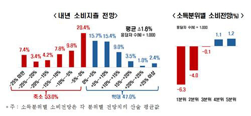 내년 소비지출 전망. 한국경제인협회 제공