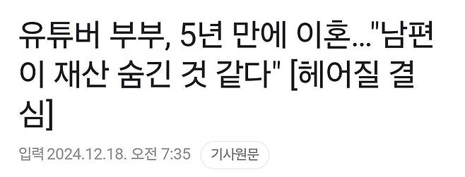 유튜버 부부, 5년만에 이혼… "남편이 재산 숨긴 것 같다"