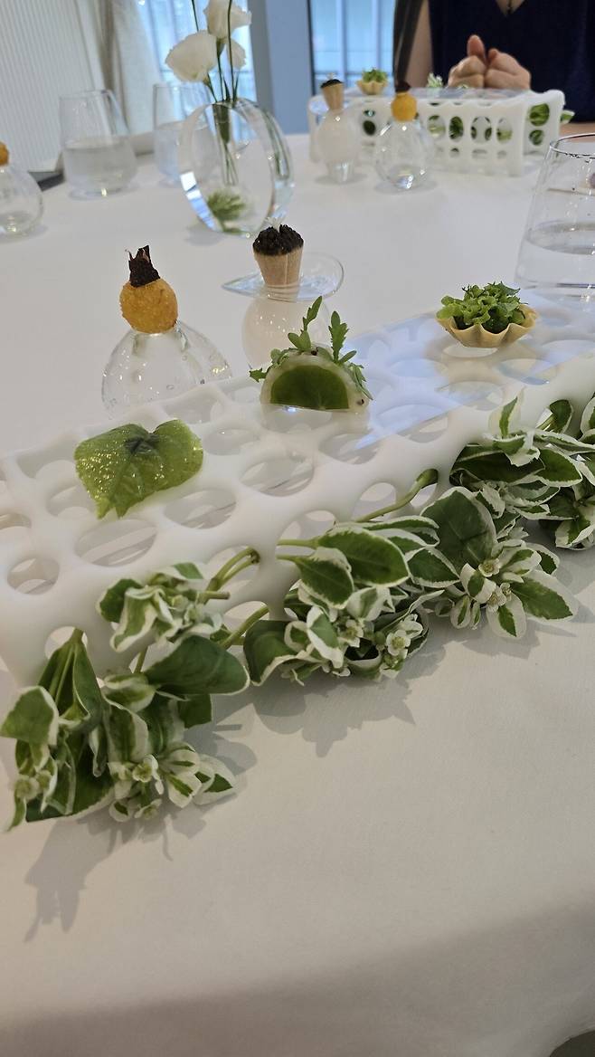 20240802_185608.jpeg 인당 28만 드레스덴 그린 후기